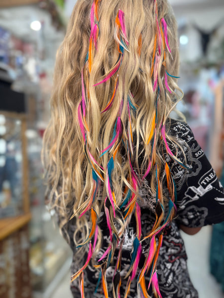 Plume Angel Long CLIPS Feather Extensions