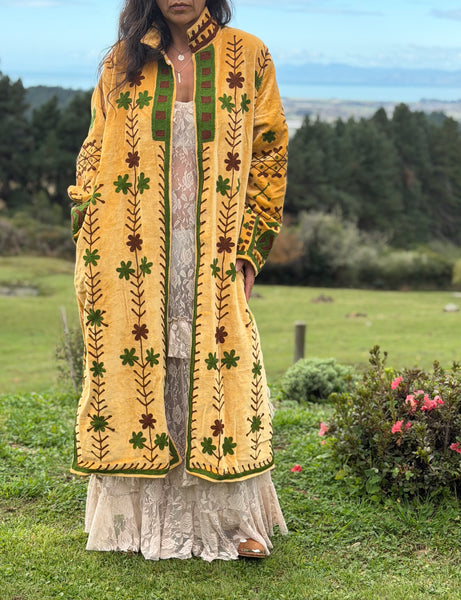 Maharani Velvet Coat